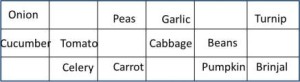 vegetables bingo game